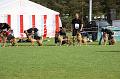 2008_08_09_0342