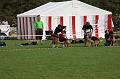 2008_08_09_0344
