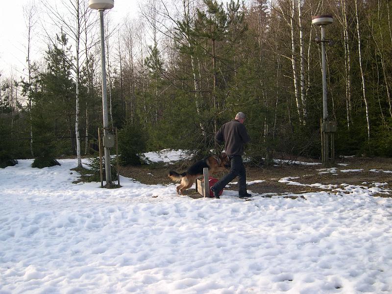 57.jpg