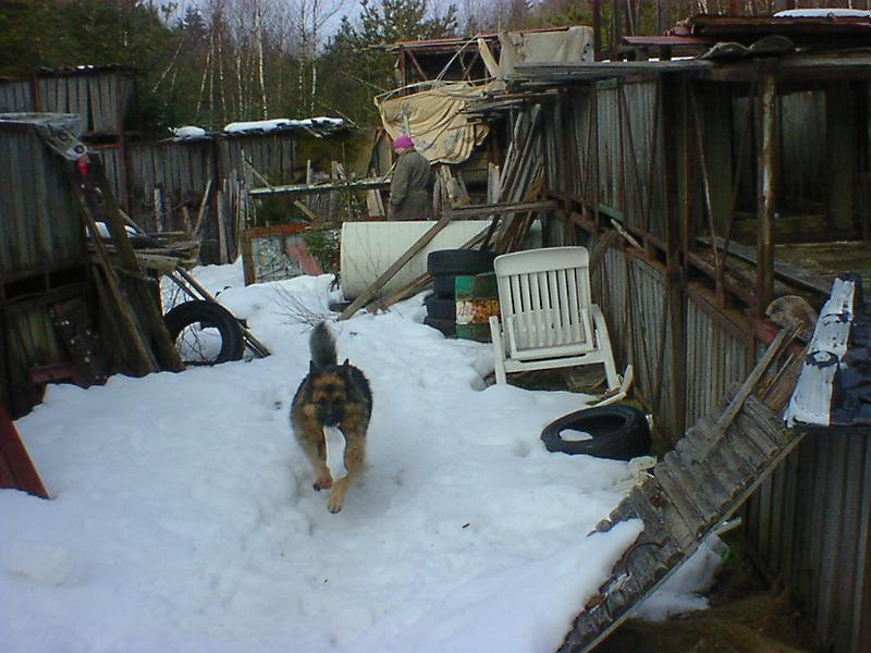 DSC00821.jpg