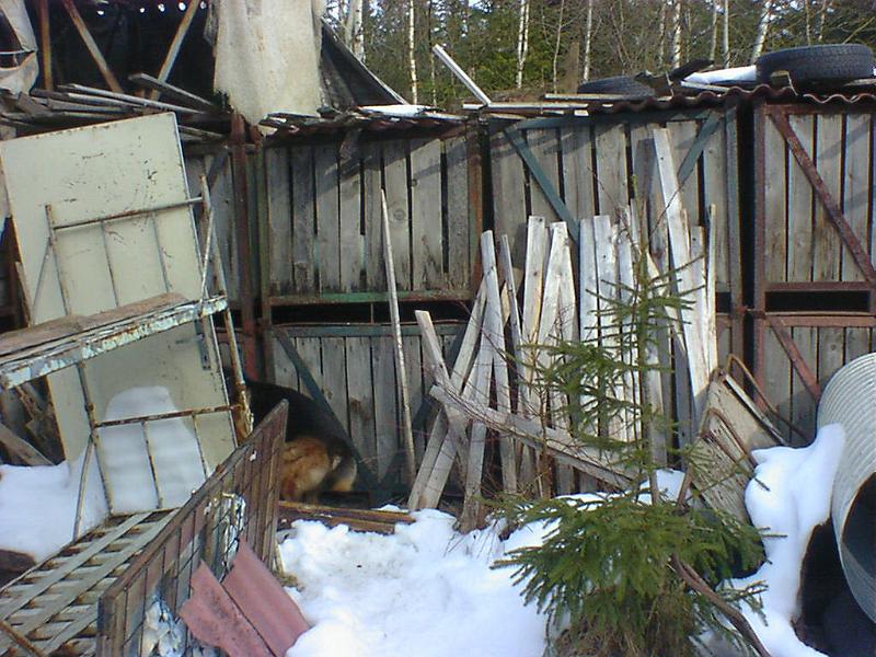 DSC00829.jpg