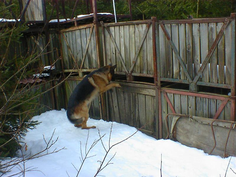 DSC00835.jpg