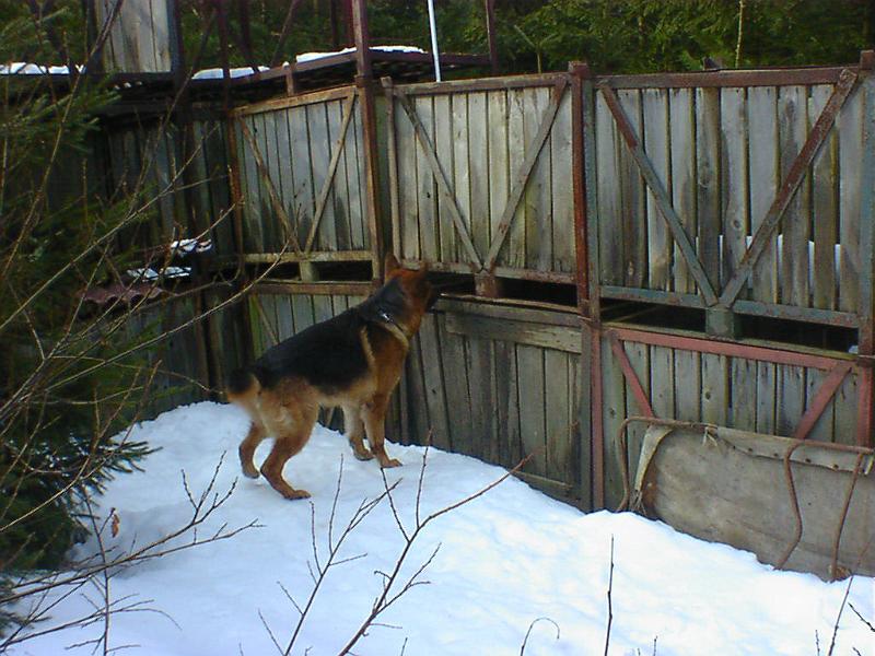 DSC00837.jpg