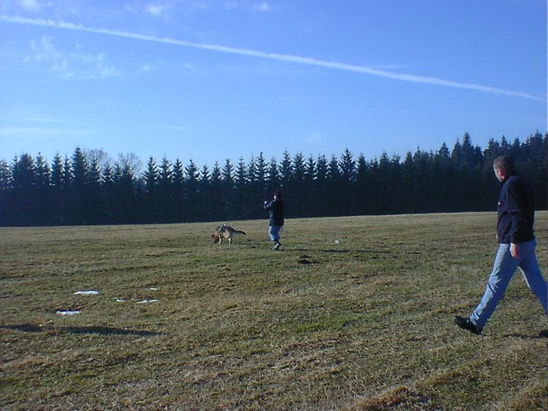 DSC00851.jpg