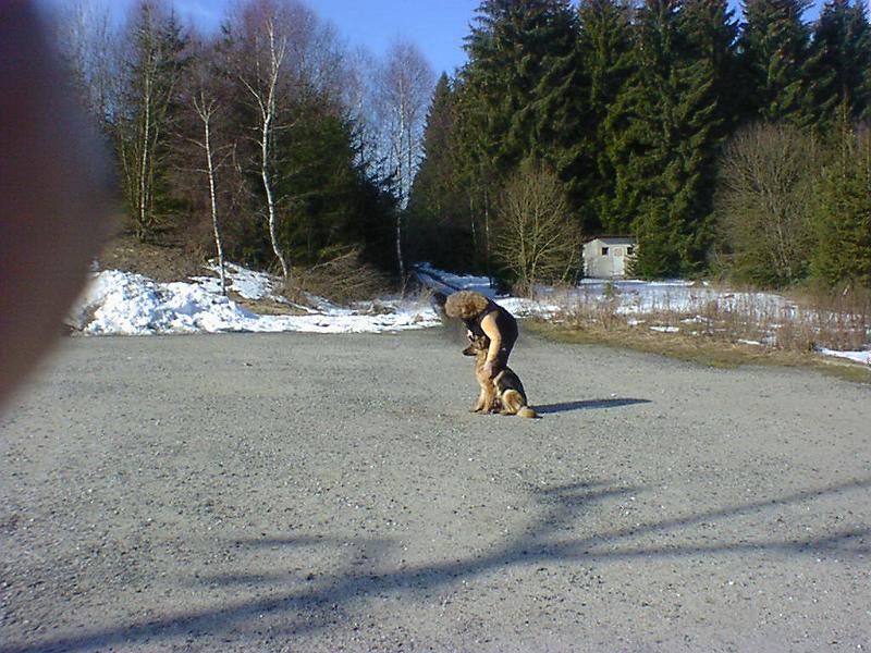 DSC00852.jpg