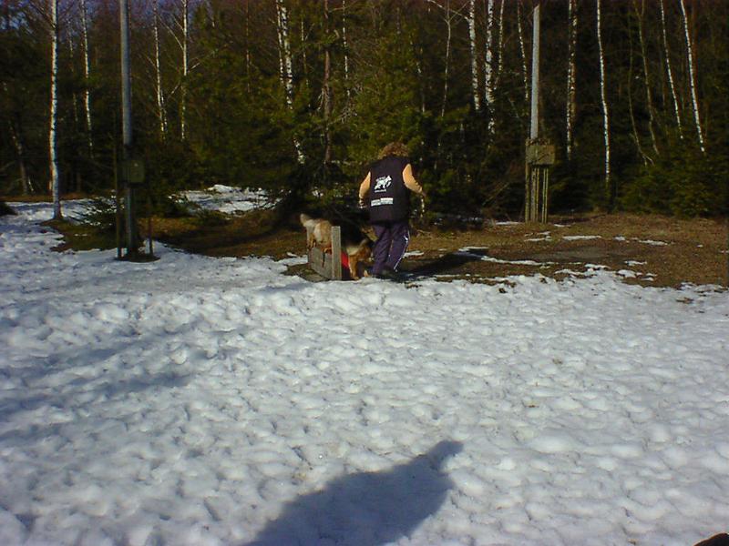 DSC00865.jpg