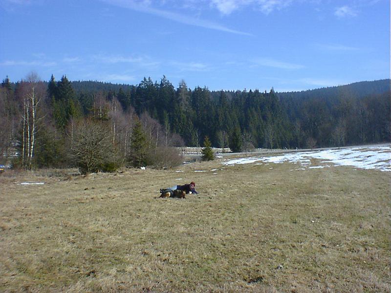 DSC00871.jpg