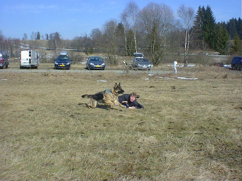 DSC00874.jpg