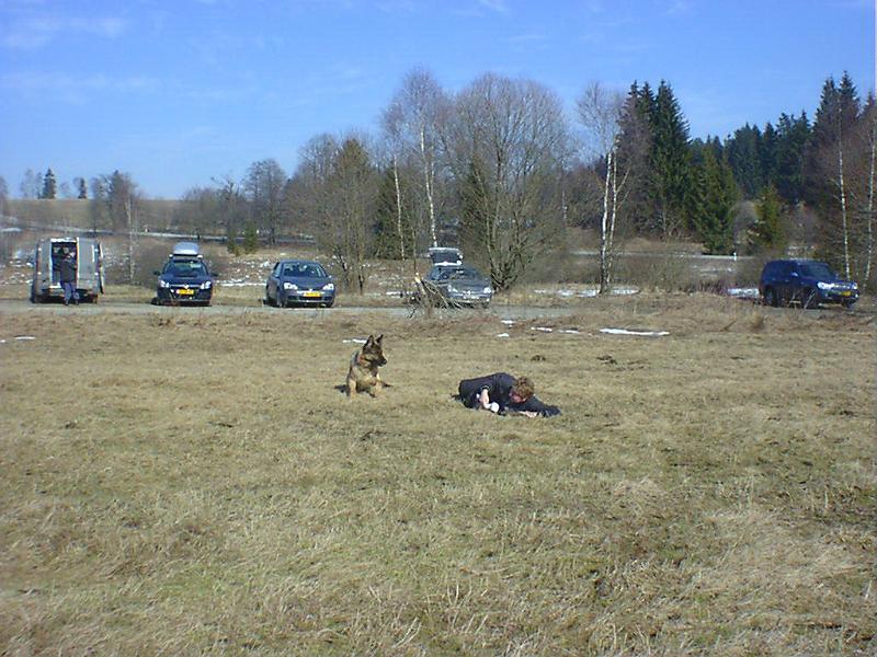 DSC00875.jpg
