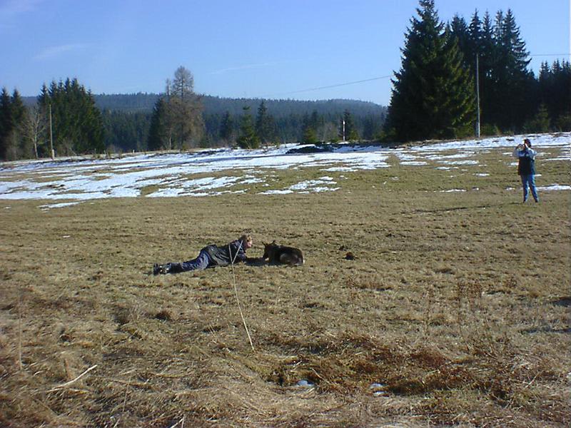 DSC00883.jpg