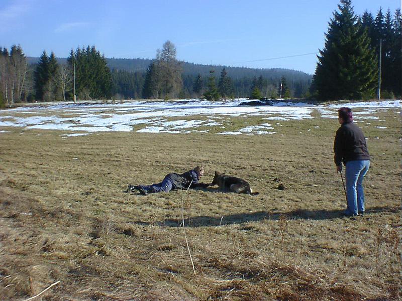 DSC00884.jpg