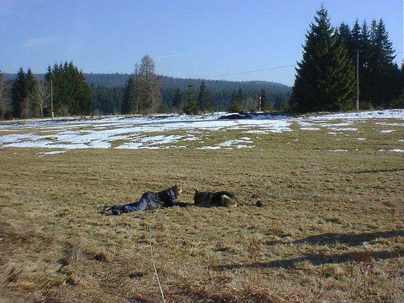 DSC00886.jpg