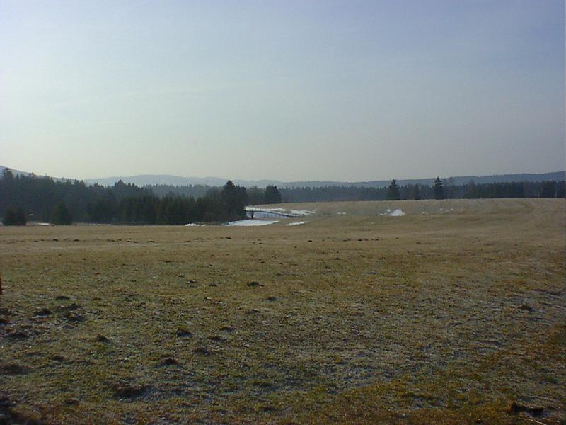 DSC00889.jpg