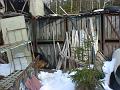 DSC00829