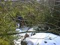 DSC00903