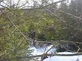 DSC00907