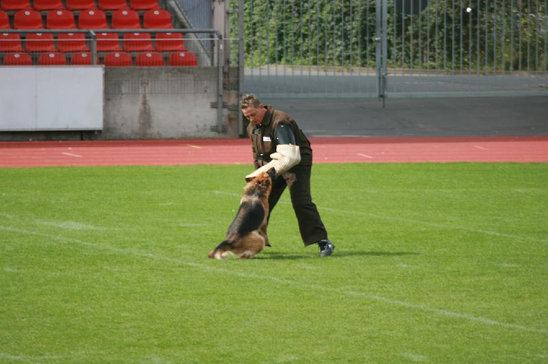 IMG_0592.JPG