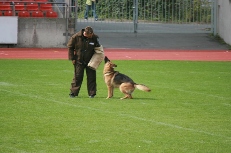 IMG_0595.JPG