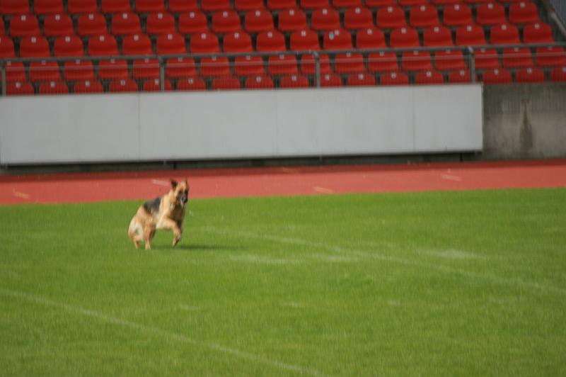 IMG_0601.JPG