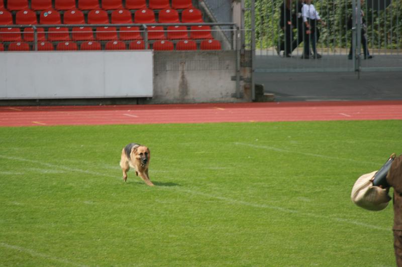 IMG_0602.JPG