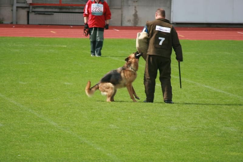 IMG_0609.JPG