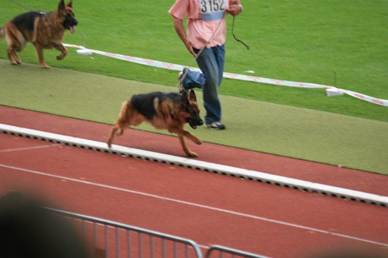 IMG_0891.JPG
