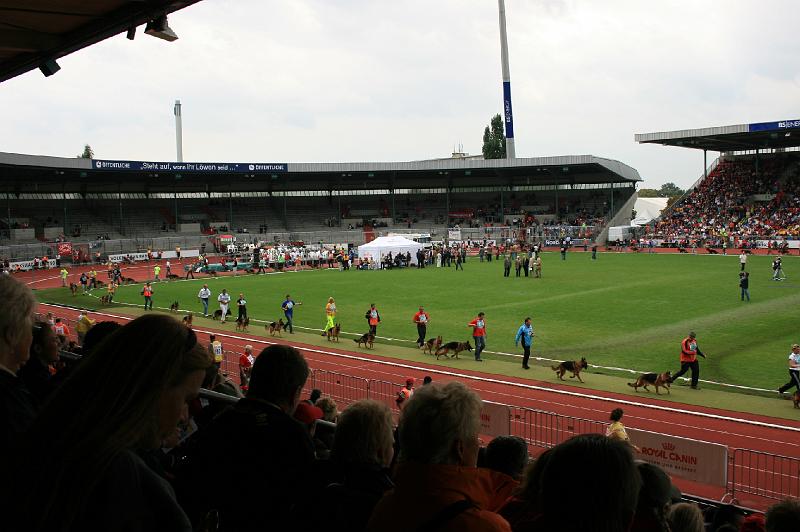 IMG_0907.JPG