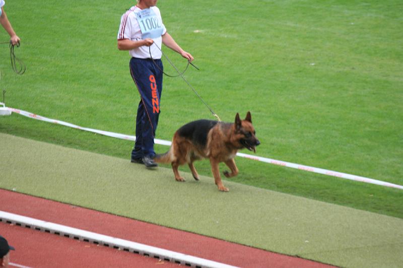 IMG_0924.JPG