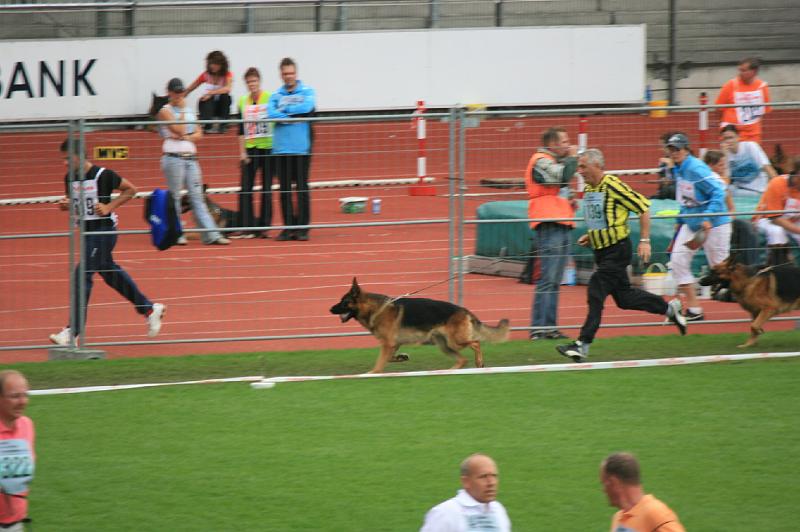 IMG_0953.JPG