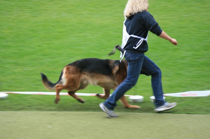 IMG_0979.JPG