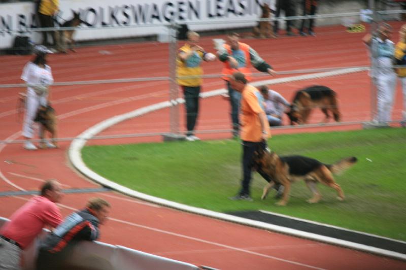 IMG_1008.JPG
