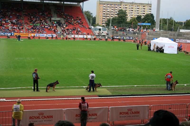 IMG_1025.JPG
