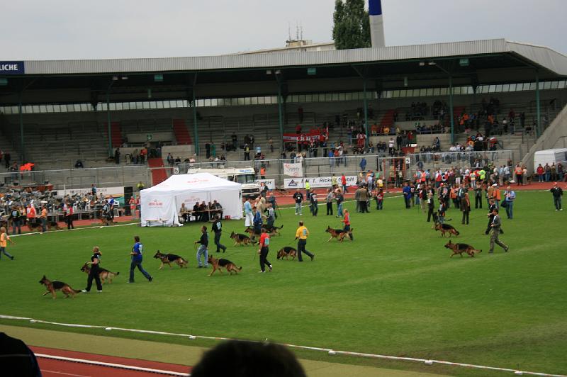 IMG_1032.JPG