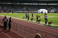 IMG_0717