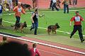 IMG_0887