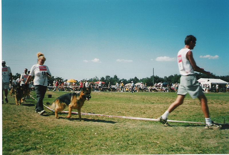 side8has2003.jpg