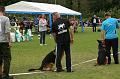 IMG_7688