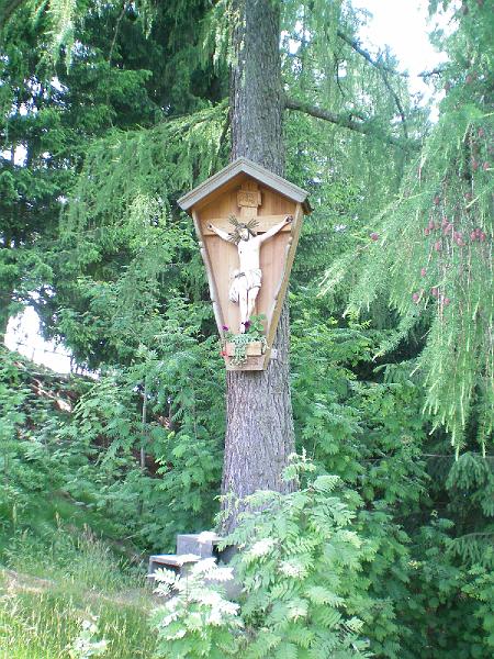 100_0750.jpg
