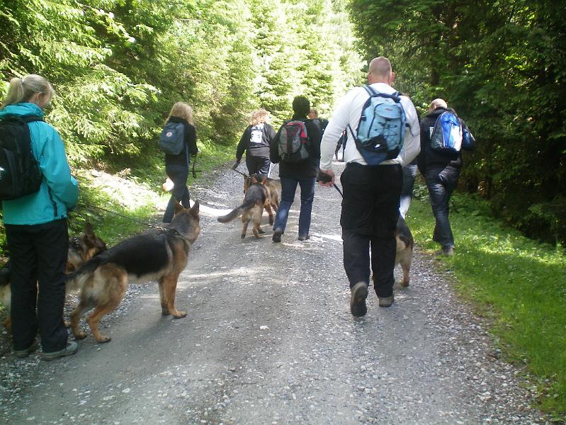 100_0623.jpg