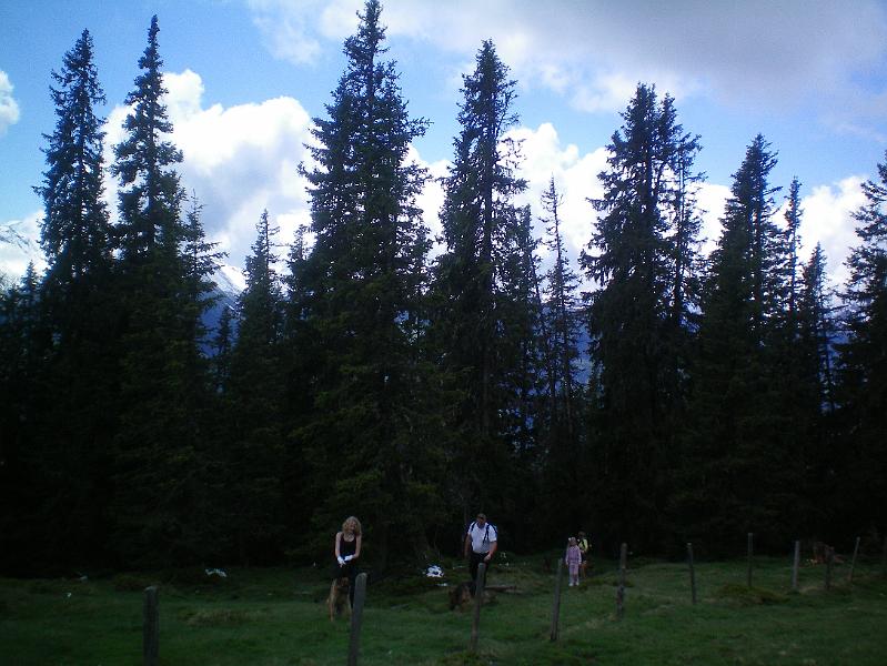 100_0642.jpg