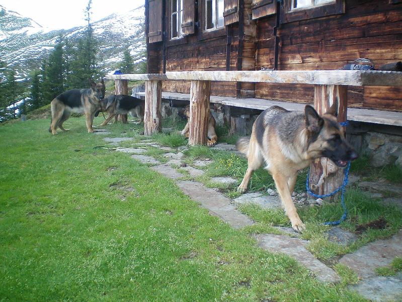 100_0658.jpg