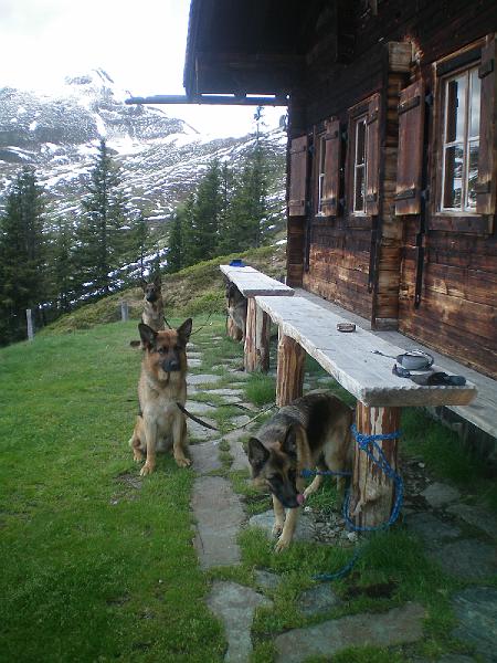 100_0666.jpg