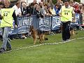 _8078304