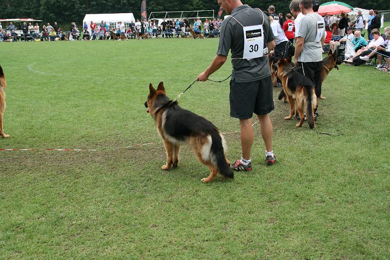 IMG_6104.JPG